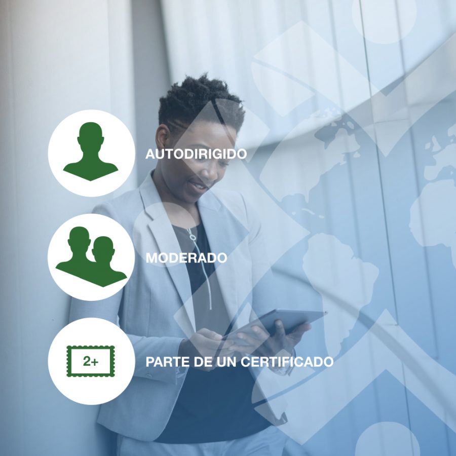 Academia de Programación (CREAD Coding School)
